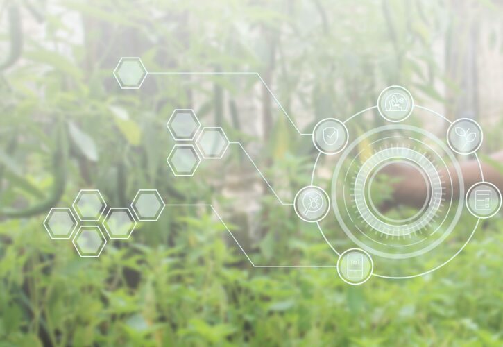 Video: Le basi dell’agricoltura sostenibile
